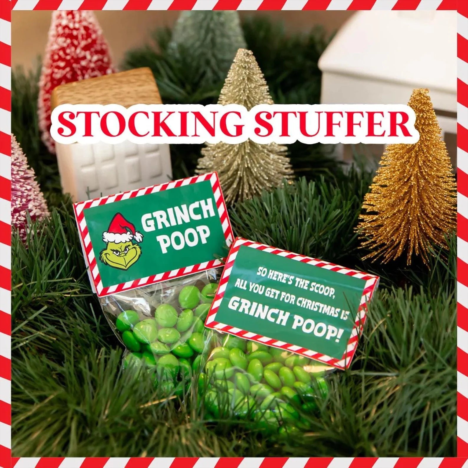 Green candy gift bags labeled 'Grinch Poop' used as stocking stuffers and holiday christmas gifts!