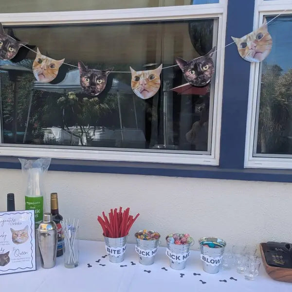 Face & Pet Photo Banner